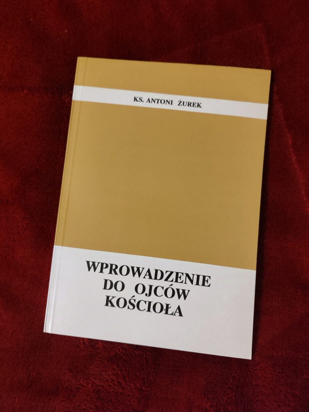 Ks. Antoni Żurek, "Wprowadzenie do Ojców Kościoła" [1993]