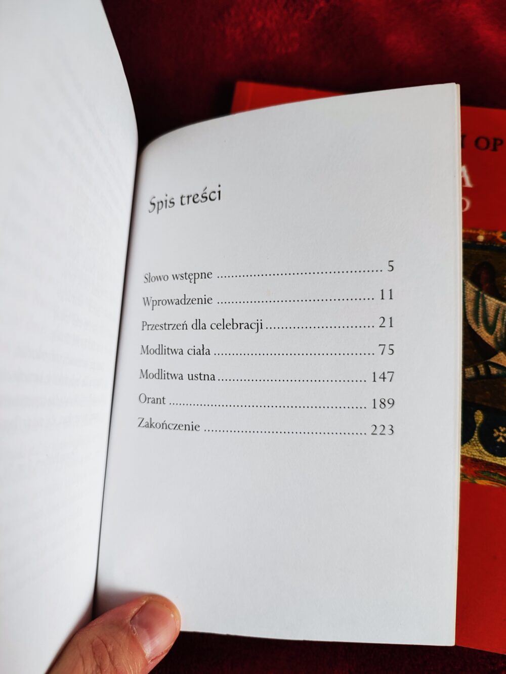 Tomasz Kwiecień OP, "Pochwała ciała. Liturgia i człowieczeństwo" [2004] + "Modlitwa w stylu retro" [2008] - obrazek 2