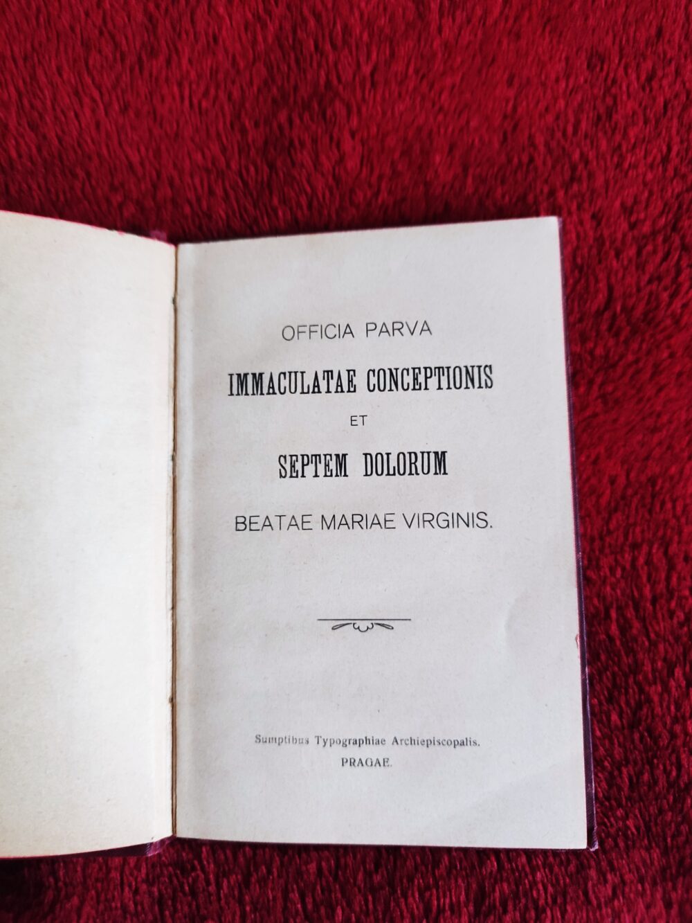 Officia parva Immaculatae Conceptionis et Septem Dolorum Beatae Mariae Virginis [1904]