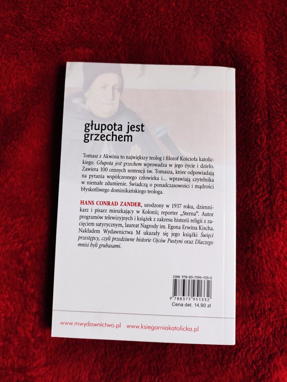 Św. Tomasz z Akwinu, Hans Conrad Zander, "Głupota jest grzechem" [2009] - obrazek 3