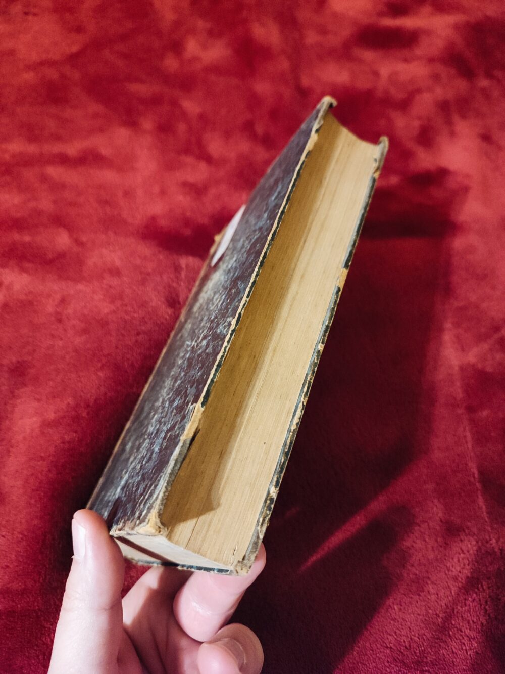 J. B. Falise, "Sacrorum Rituum rubricarumque Missalis Breviarii et Ritualis Romani compendiosa elucidatio" [1863] - obrazek 8