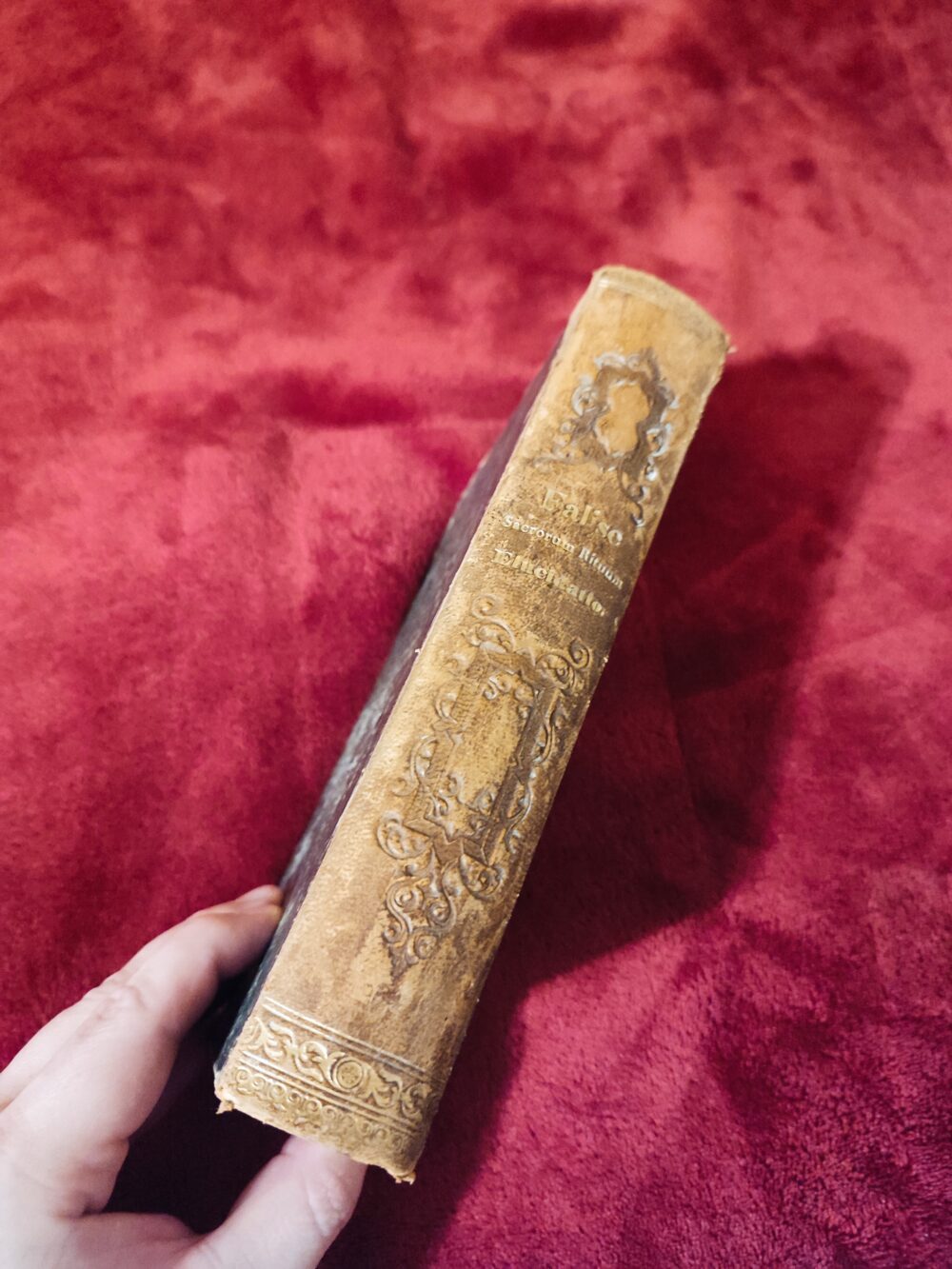 J. B. Falise, "Sacrorum Rituum rubricarumque Missalis Breviarii et Ritualis Romani compendiosa elucidatio" [1863] - obrazek 9