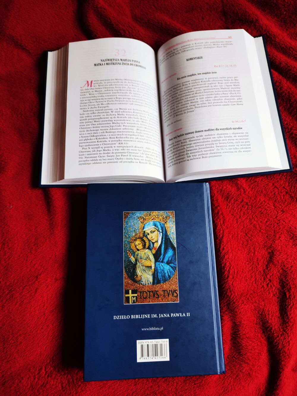 Nowe Msze o Najświętszej Maryi Pannie. Komentarze i homilie [2008] - obrazek 2