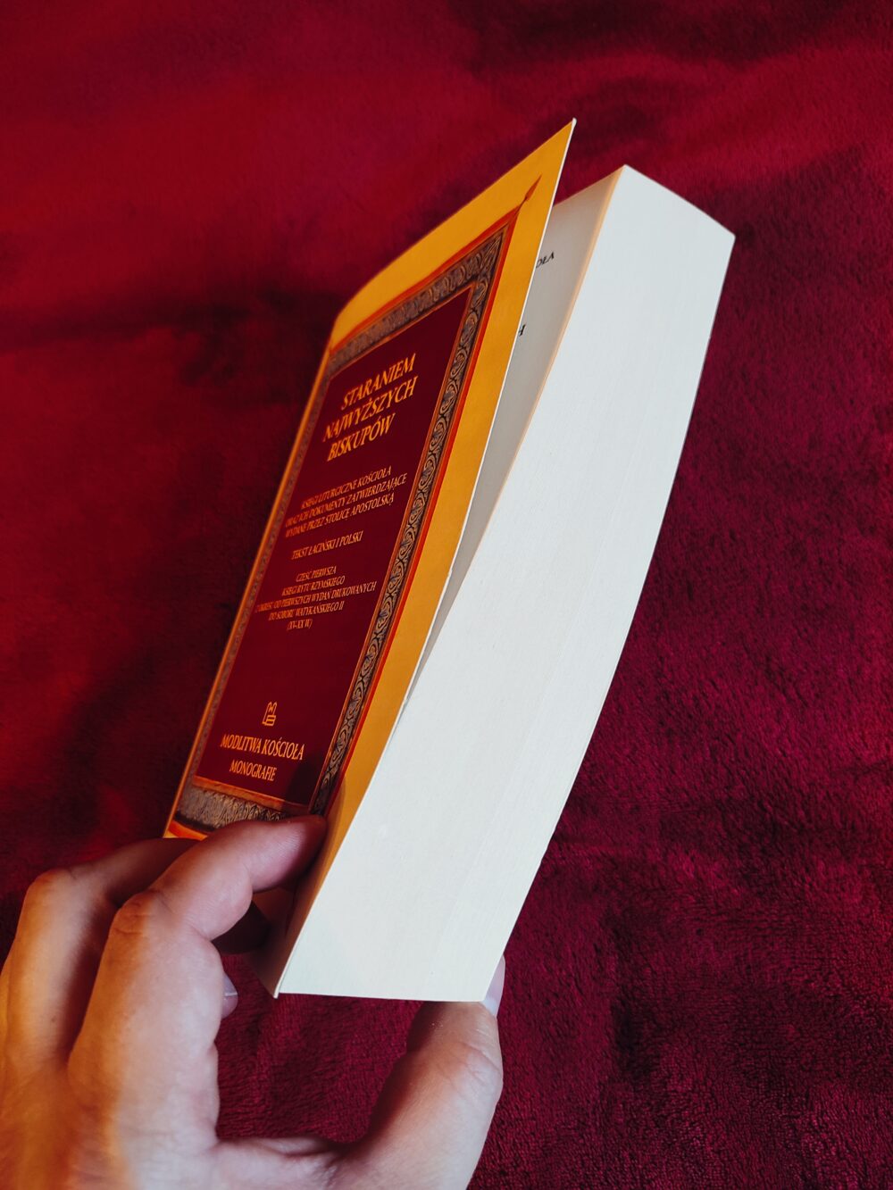 Paweł Milcarek, "Staraniem Najwyższych Biskupów. Księgi liturgiczne Kościoła oraz ich dokumenty zatwierdzające wydane przez Stolicę Apostolską" (t. I) [2022] - obrazek 3