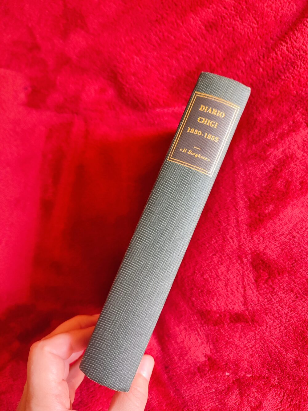 Il tempo del Papa-Re. Diario del principe Don Agostino Chigi dall'anno 1830 al 1855 [1966] - obrazek 4