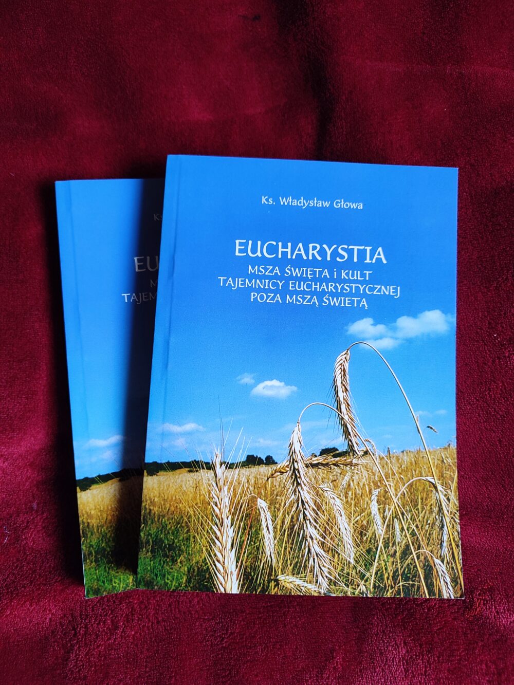 Ks. Władysław Głowa, "Eucharystia. Msza święta i kult tajemnicy eucharystycznej poza Mszą świętą" [2005]