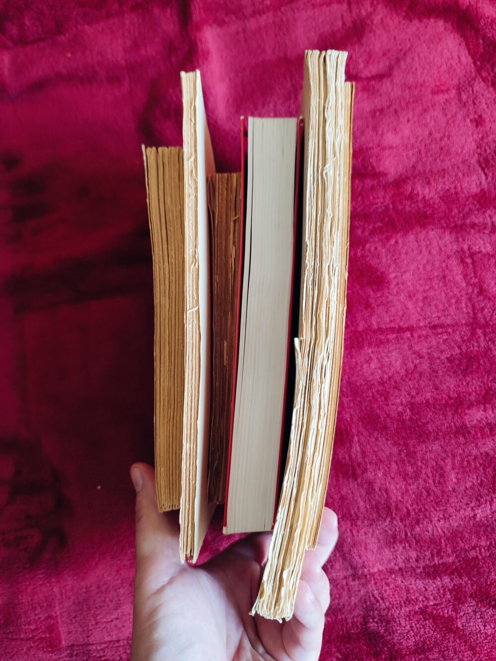 Zestaw 6 książek z biblistyki - obrazek 2
