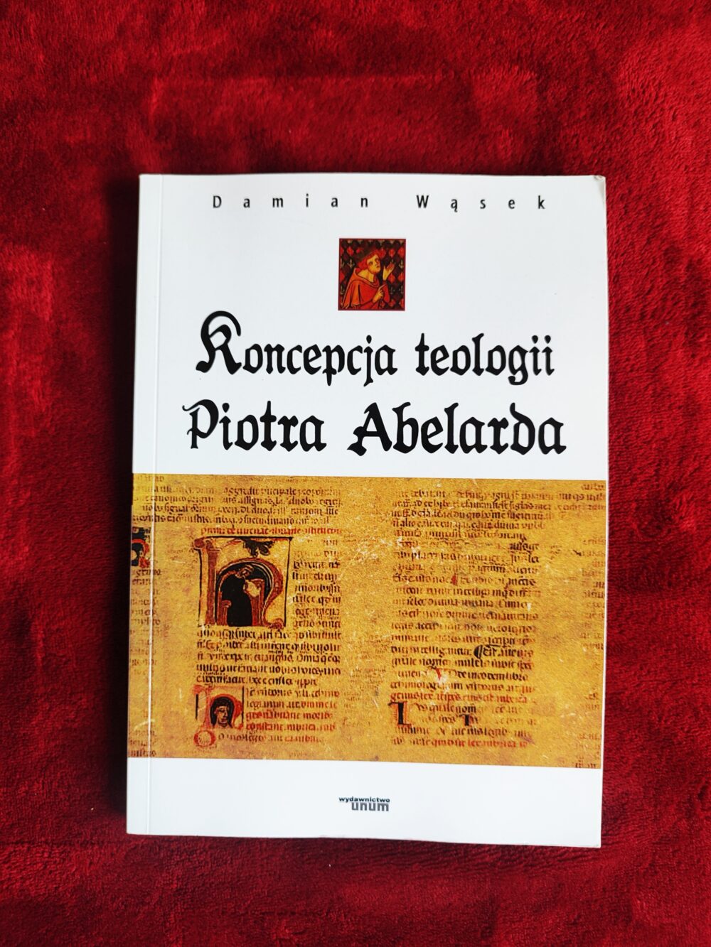 Damian Wąsek, "Koncepcja teologii Piotra Abelarda" [2010]