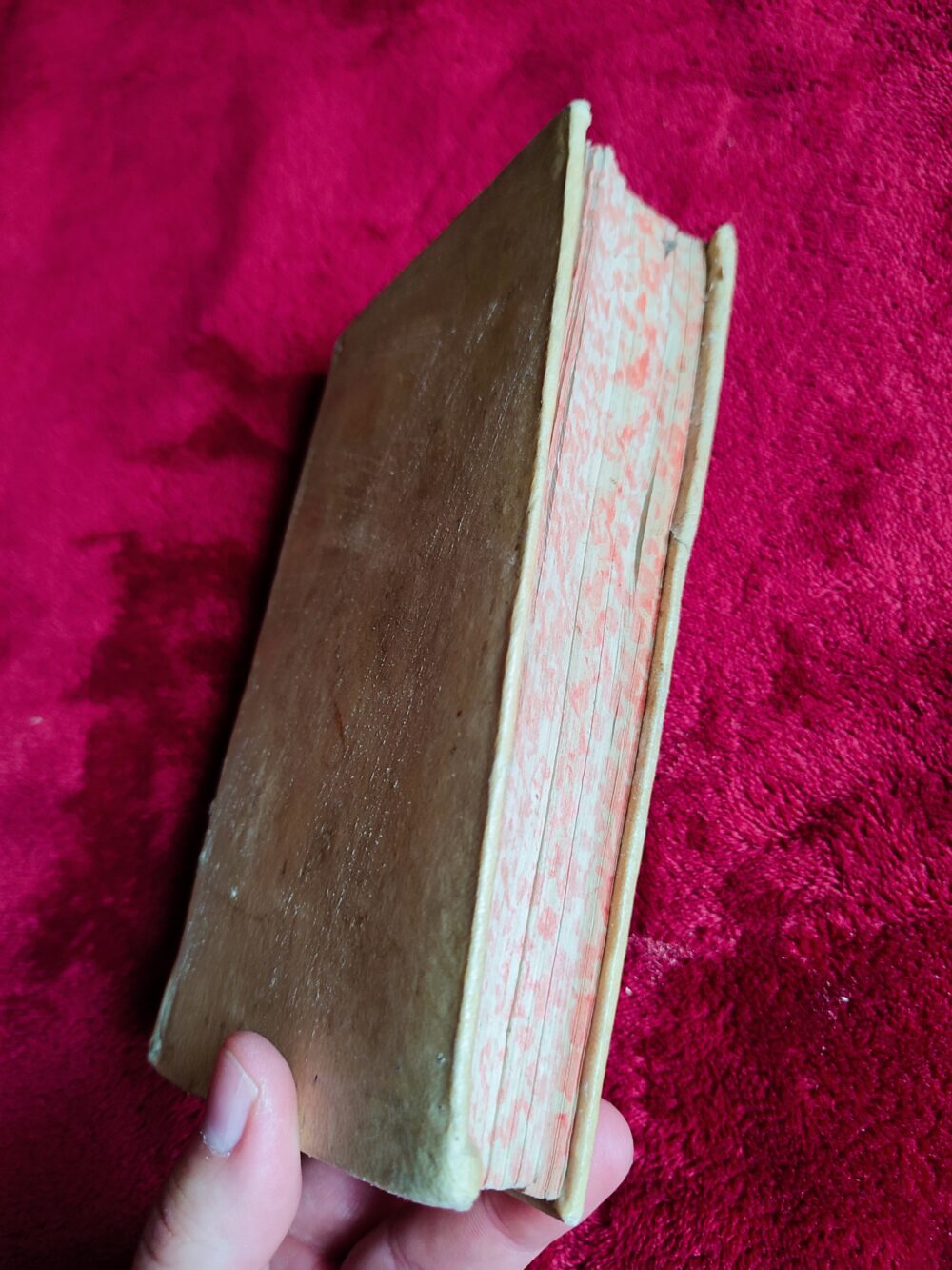 Pontificale Romanum [1752] - obrazek 4