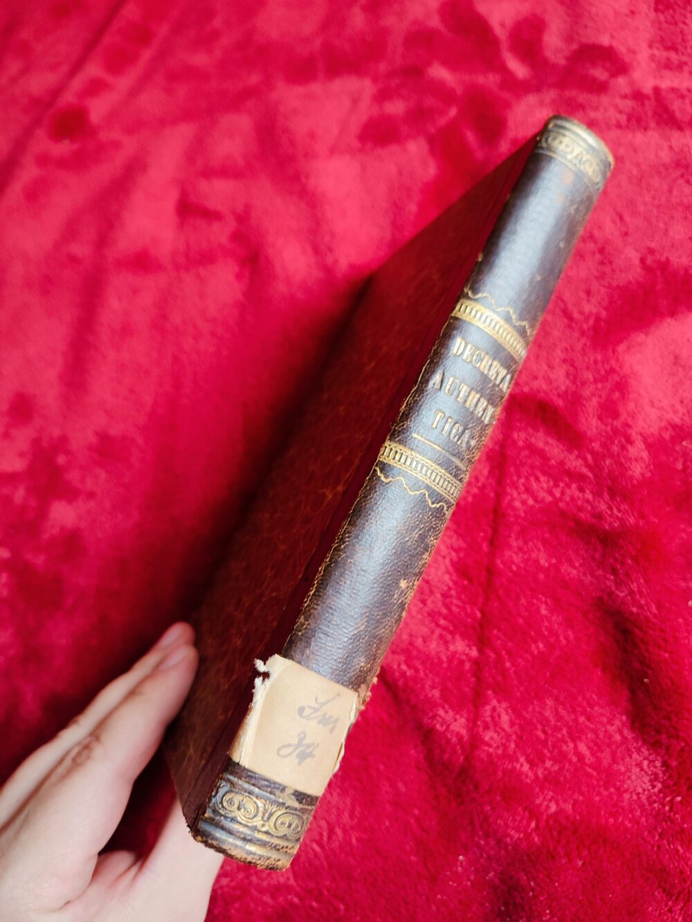 Sacrae Rituum Congregationis Decreta Authentica (...) alphabetico ordine collecta [1854] - obrazek 6