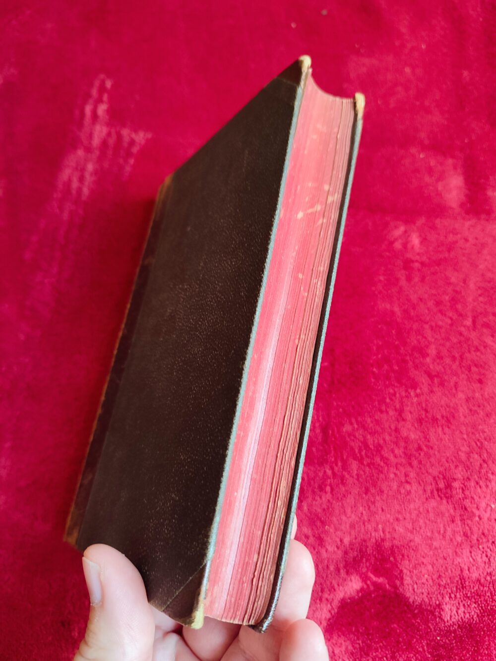 Epitome ex editione typica Graudalis Romani [1896] - obrazek 4