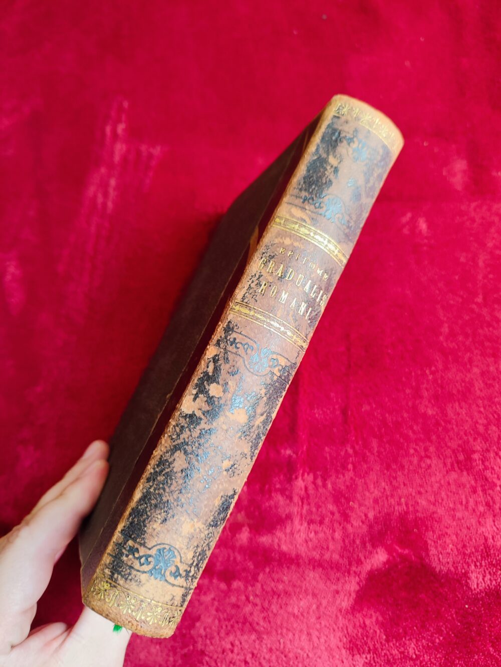 Epitome ex editione typica Graudalis Romani [1896] - obrazek 5