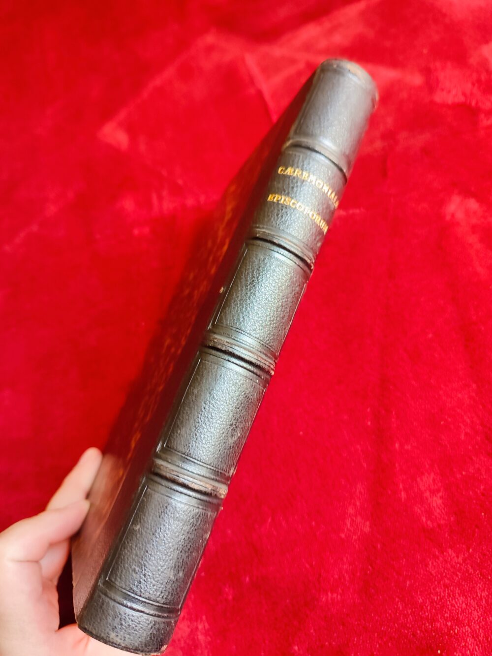 Caeremoniale Episcoporum [1868] - obrazek 5