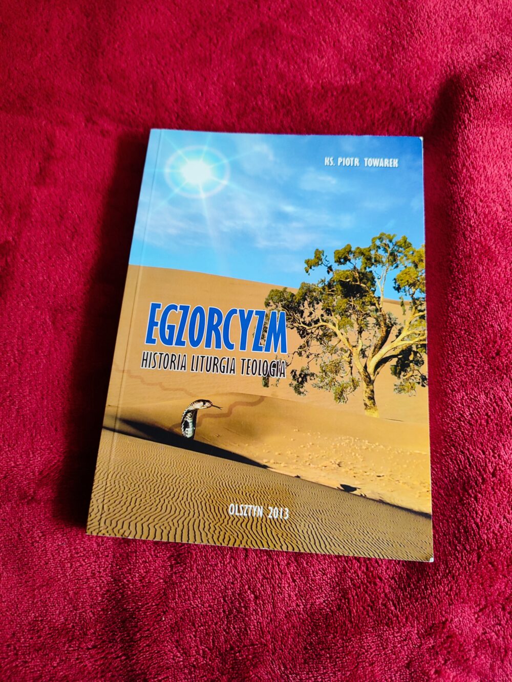 Ks. Piotr Towarek, "Egzorcyzm: historia, liturgia, teologia" [2013]