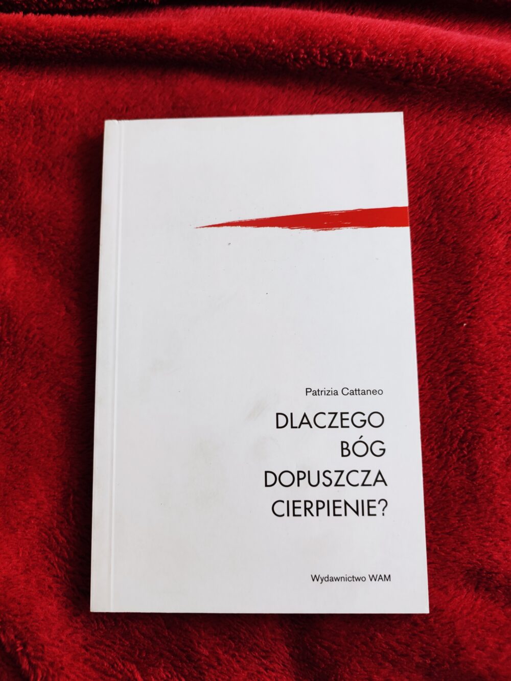 Patrizia Cattaneo, "Dlaczego Bóg dopuszcza cierpienie?" [2008]