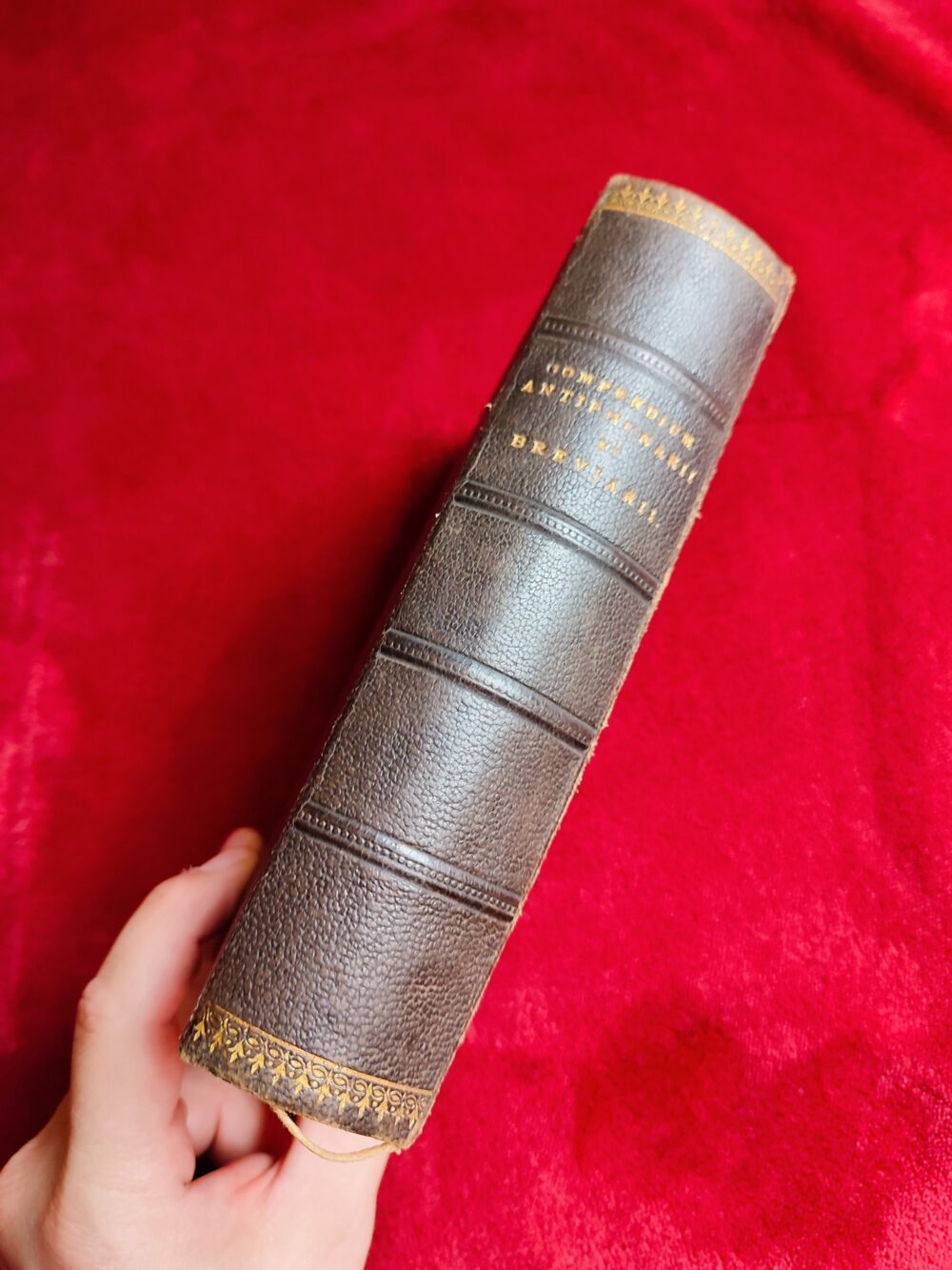 Compendium Antiphonarii et Breviarii Romani [1898] - obrazek 10