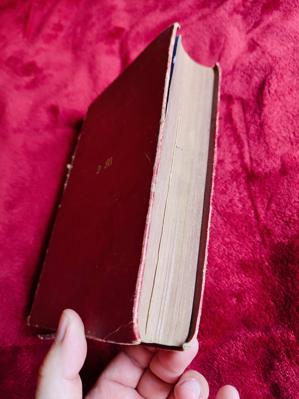 Missale Romanum [1868] - obrazek 5