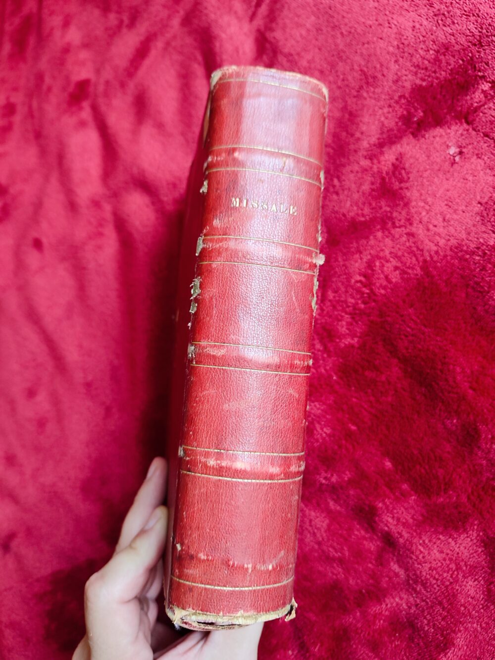 Missale Romanum [1868] - obrazek 6