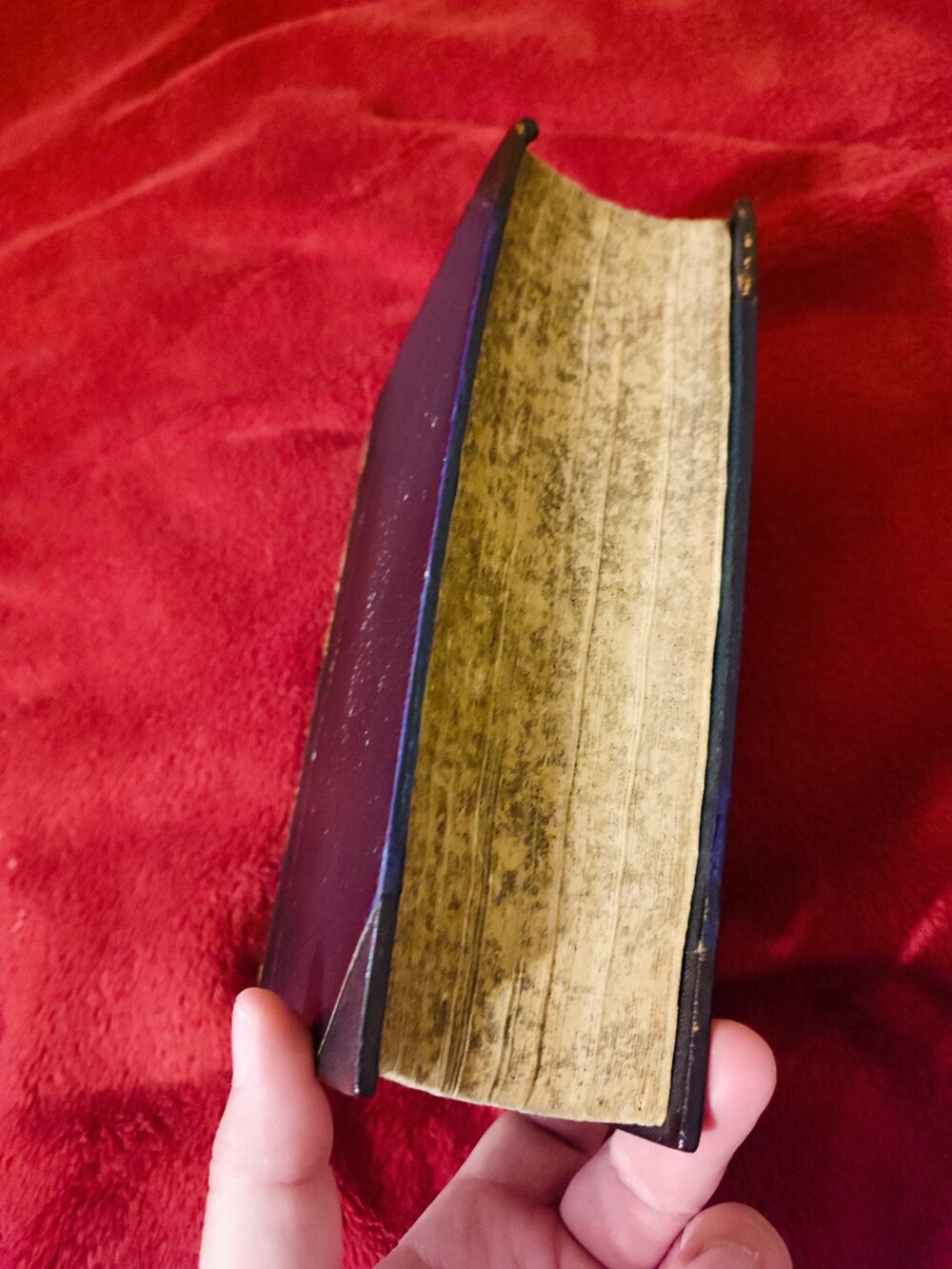 P. J. B. de Herdt, "Praxis pontificalis seu Caeremonialis Episcoporum practica expositio" (2 ed.) (3 tomy) [1904-1905] - obrazek 7