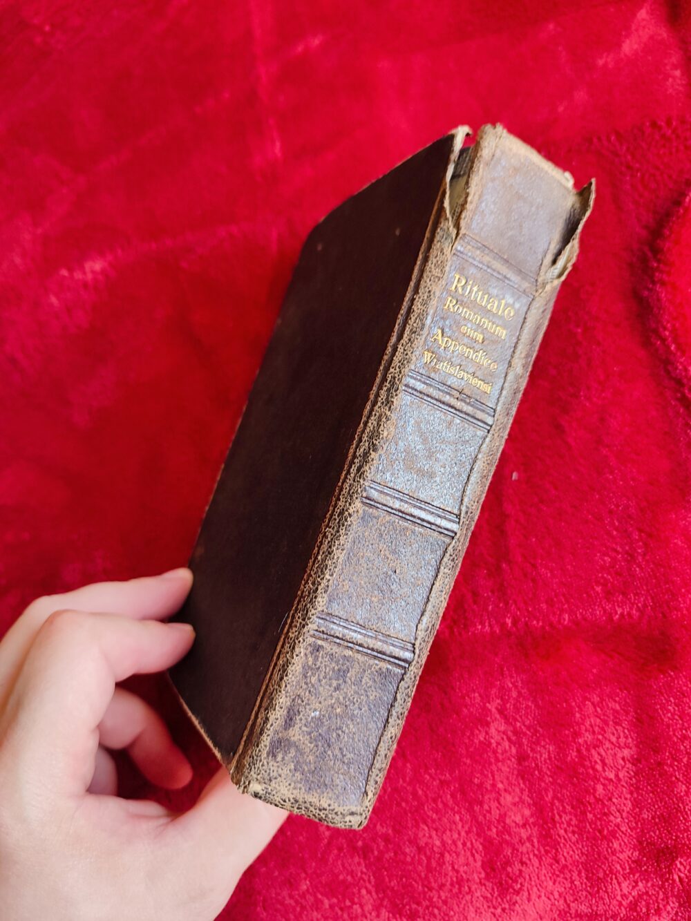 Rituale Romanum ("Rytuał Rzymski") [1929] + Appendix (...) pro Dioecesi Wratislaviensi [1929] + Supplementum Rituum [1929] - obrazek 7
