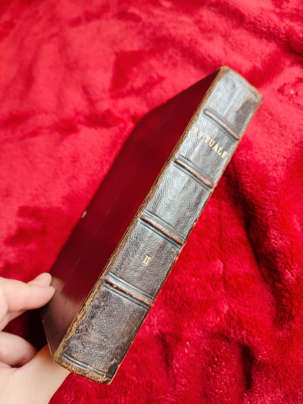 De benedictionibus, processionibus et exorcismis (...) ad uniformem ecclesiarum Regni Poloniae usum [1885] - obrazek 11