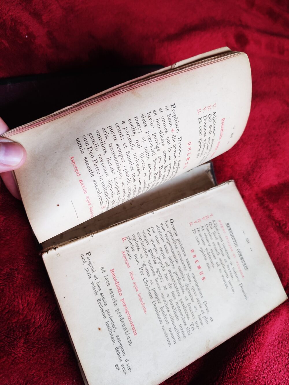 De benedictionibus, processionibus et exorcismis (...) ad uniformem ecclesiarum Regni Poloniae usum [1885] - obrazek 9
