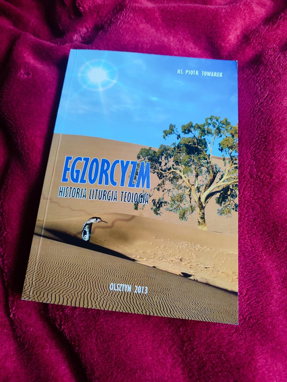Ks. Piotr Towarek, "Egzorcyzm: historia, liturgia, teologia" [2013] (2)