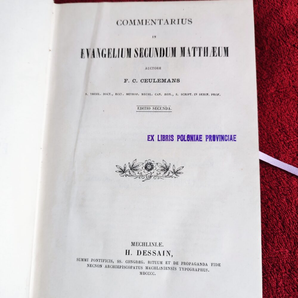 F. C. Ceulemans, "Commentarius in Evangelium Secundum Matthaeum" [1900]
