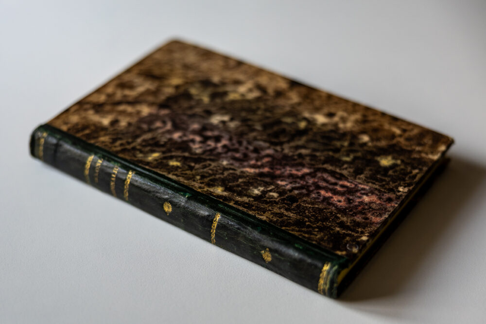 Paride de Grassi, "De caeremoniis Cardinalium et Episcoporum in eorum Dioecesibus" [1582] - obrazek 9