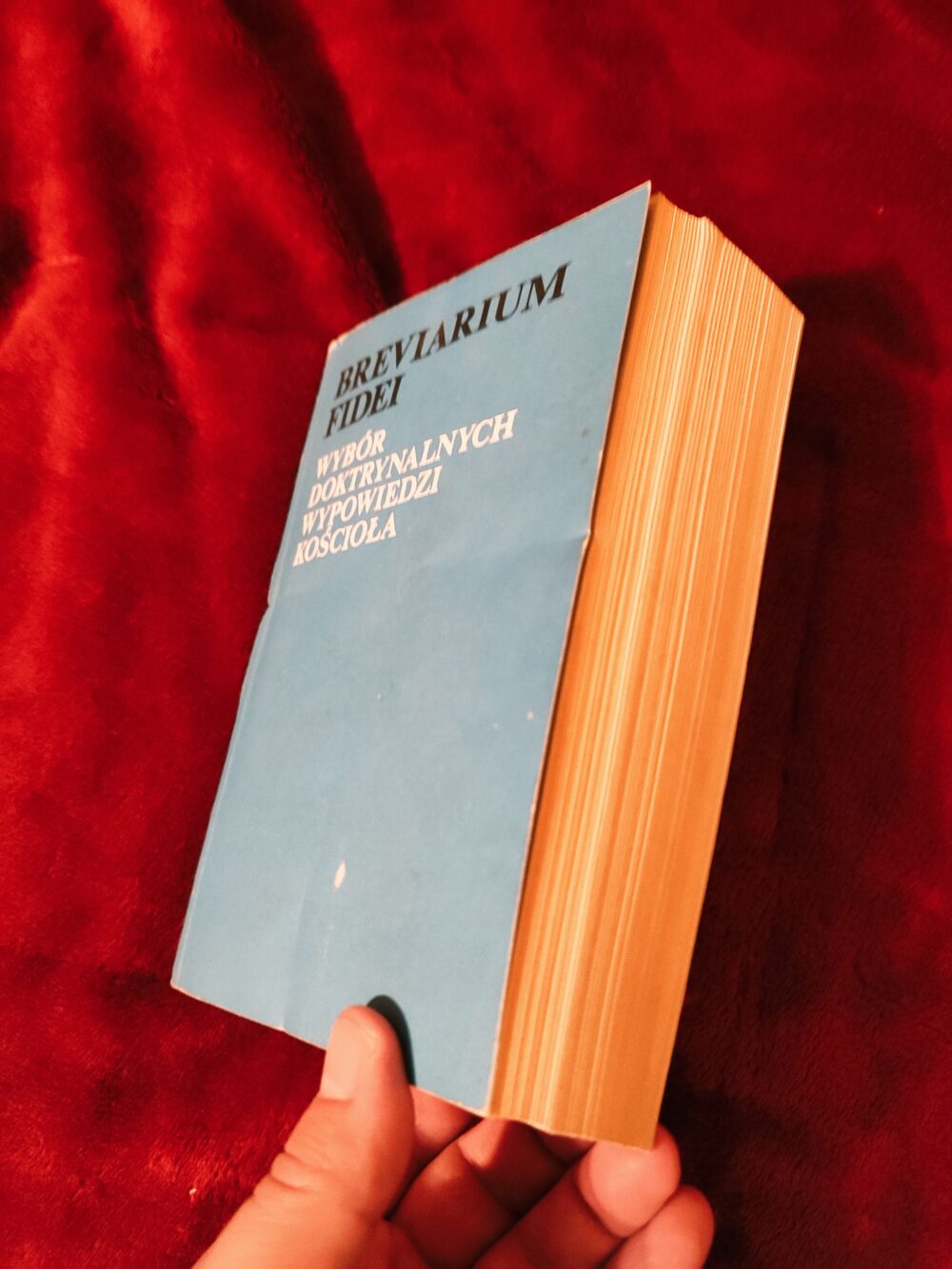 Breviarium Fidei. Wybór doktrynalnych wypowiedzi Kościoła [1988] (2) - obrazek 4