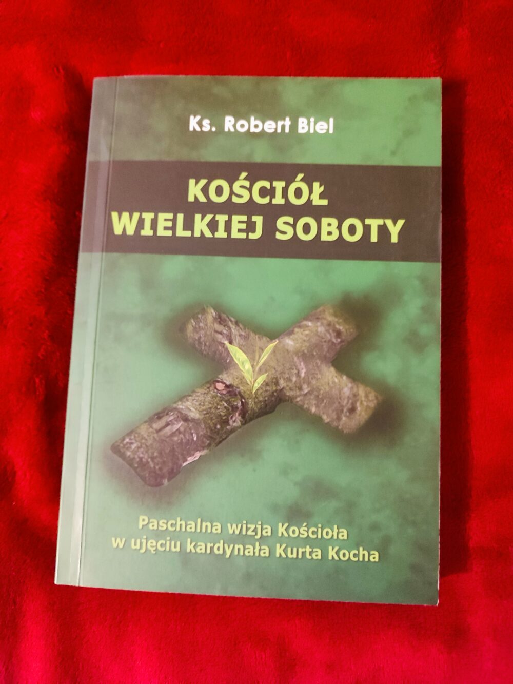 Ks. Robert Biel, "Kościół Wielkiej Soboty. Paschalna wizja Kościoła w ujęciu kardynała Kurta Kocha" [Tarnów 2012]