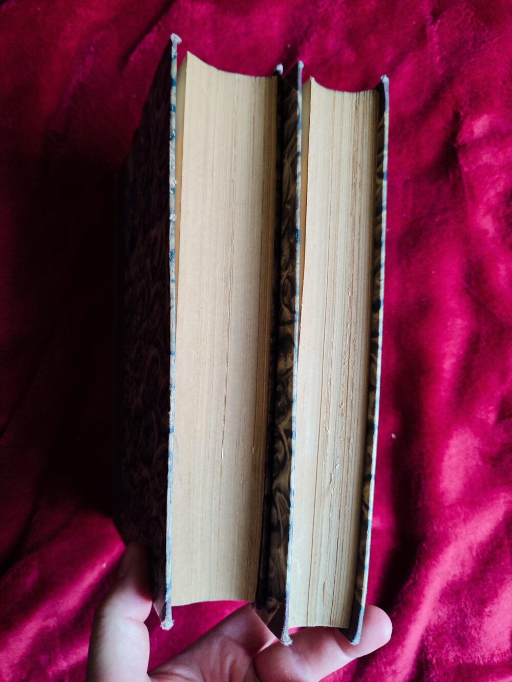 A. M. Micheletti, "Il rettore ecclesiastico, religioso e seminaristico secondo s. Gregorio Marno, s. Carlo Borromeo et altri ss. Padri e Dottori della Chiesa" (2 t.) [1897] - obrazek 3