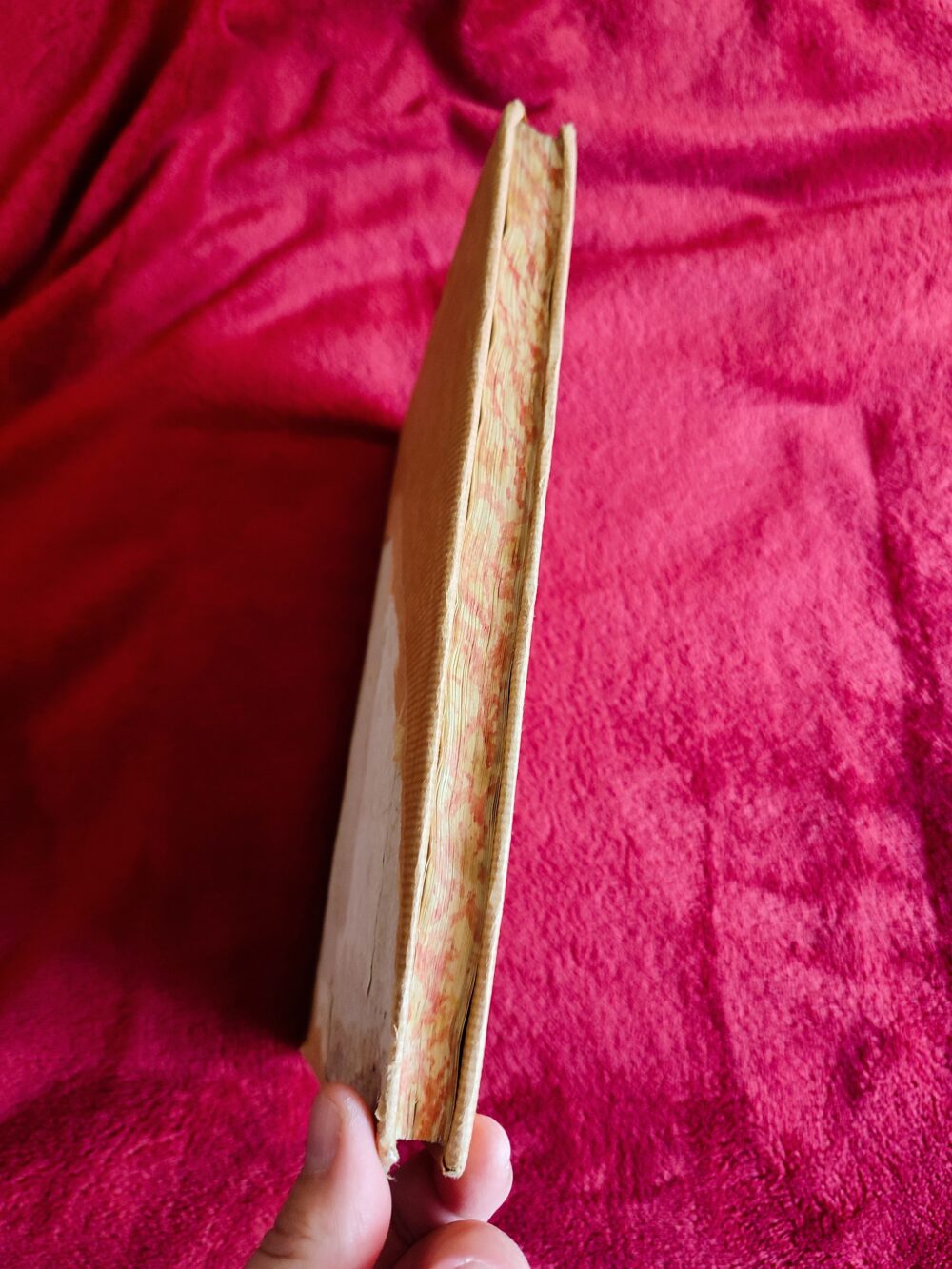 Cajetanus Cennus, "Concilium Lateranense Stephani III a. DCCLXIX" [1735] [STARODRUK] - obrazek 6