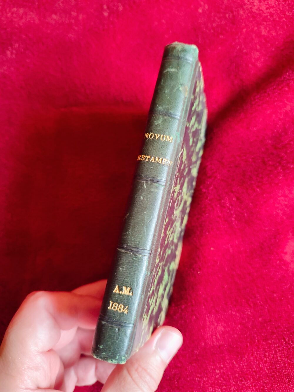 Novum Jesu Christi Testamentum Vulgatae editionis juxta exemplar Vaticanum [1877] - obrazek 3