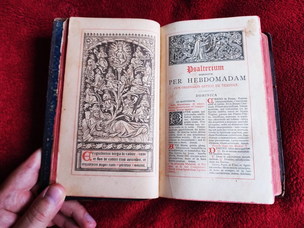 Breviarium Romanum ex Decreto Ss. Concilii Tridentini (BREVIARIUM ROMANUM TOTUM) [1884] - obrazek 2