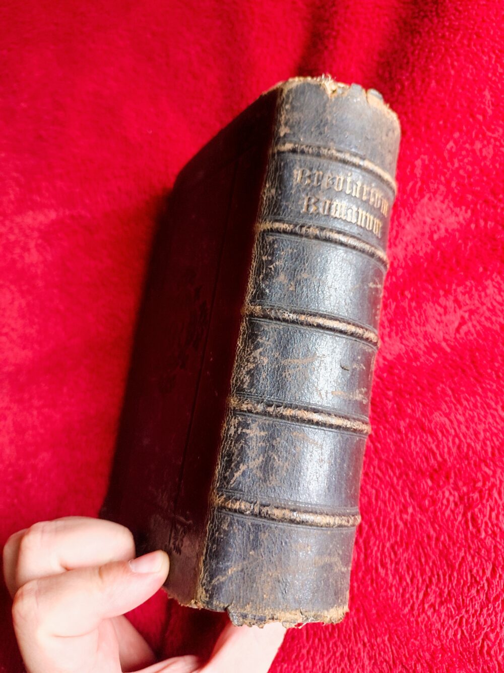 Breviarium Romanum ex Decreto Ss. Concilii Tridentini (BREVIARIUM ROMANUM TOTUM) [1884] - obrazek 7