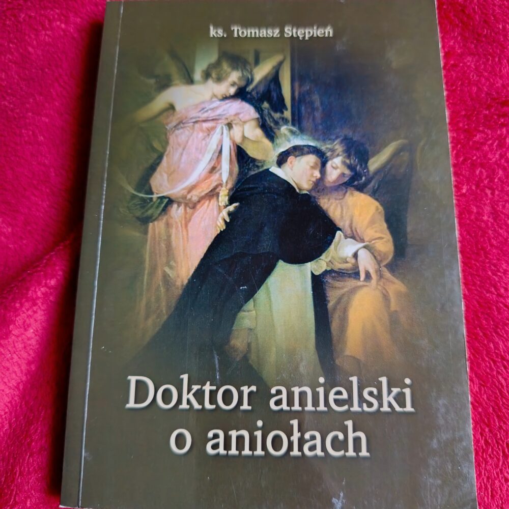 Ks. Tomasz Stępień, "Doktor anielski o aniołach" [2014] (2)